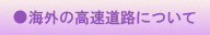 海外調査報告書