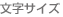 文字サイズ
